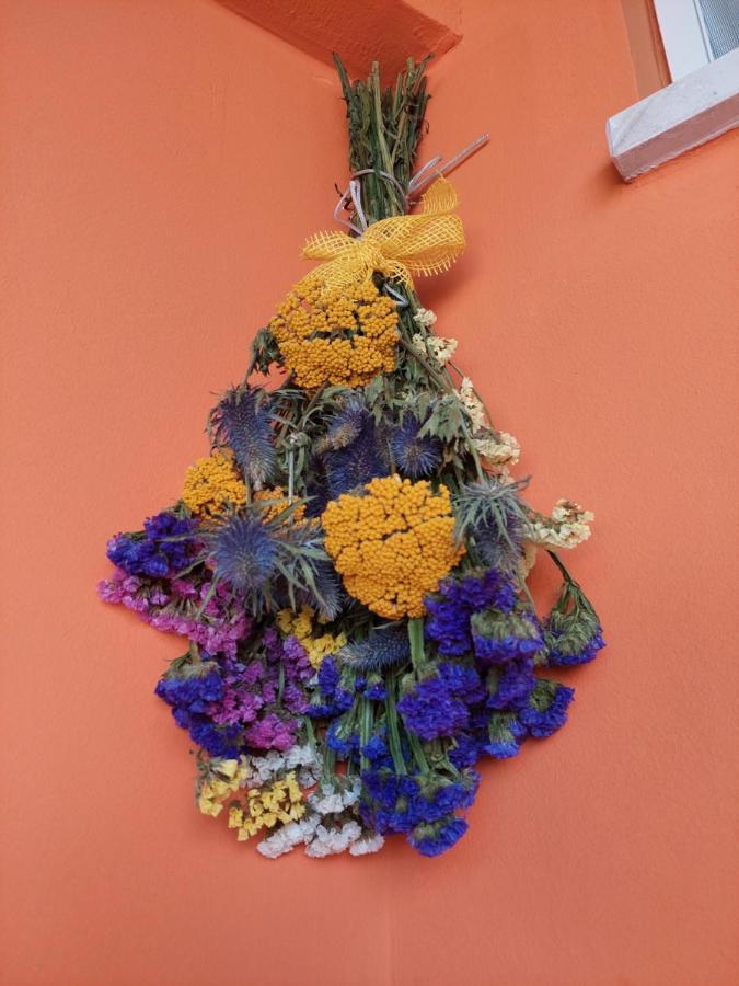 זאדאר Mexicana Apartment Yellow מראה חיצוני תמונה