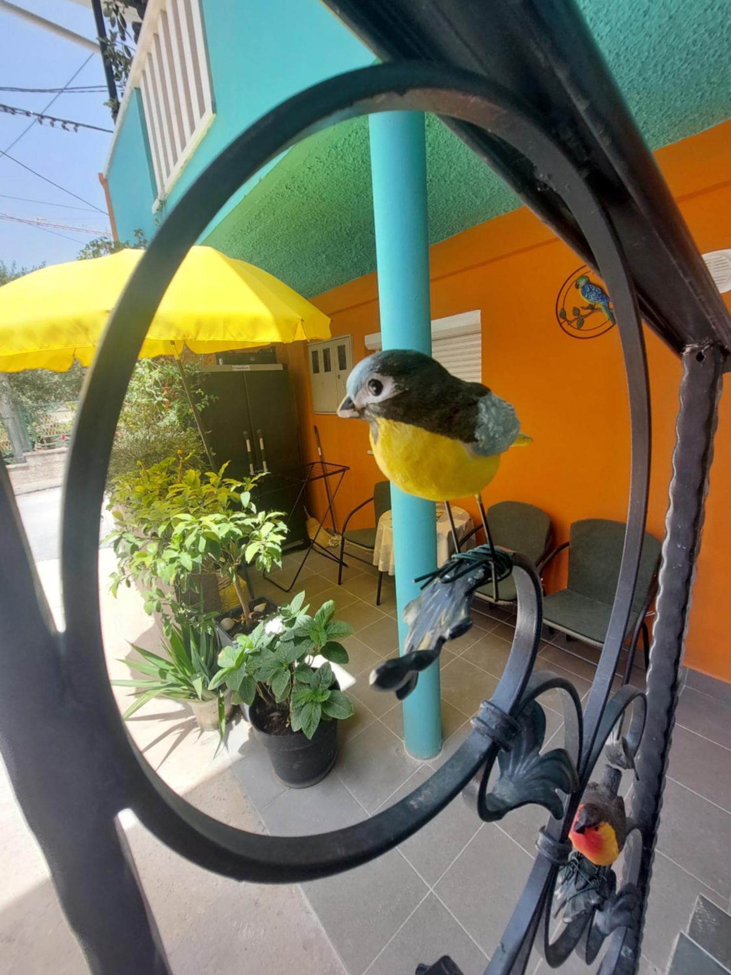 זאדאר Mexicana Apartment Yellow מראה חיצוני תמונה