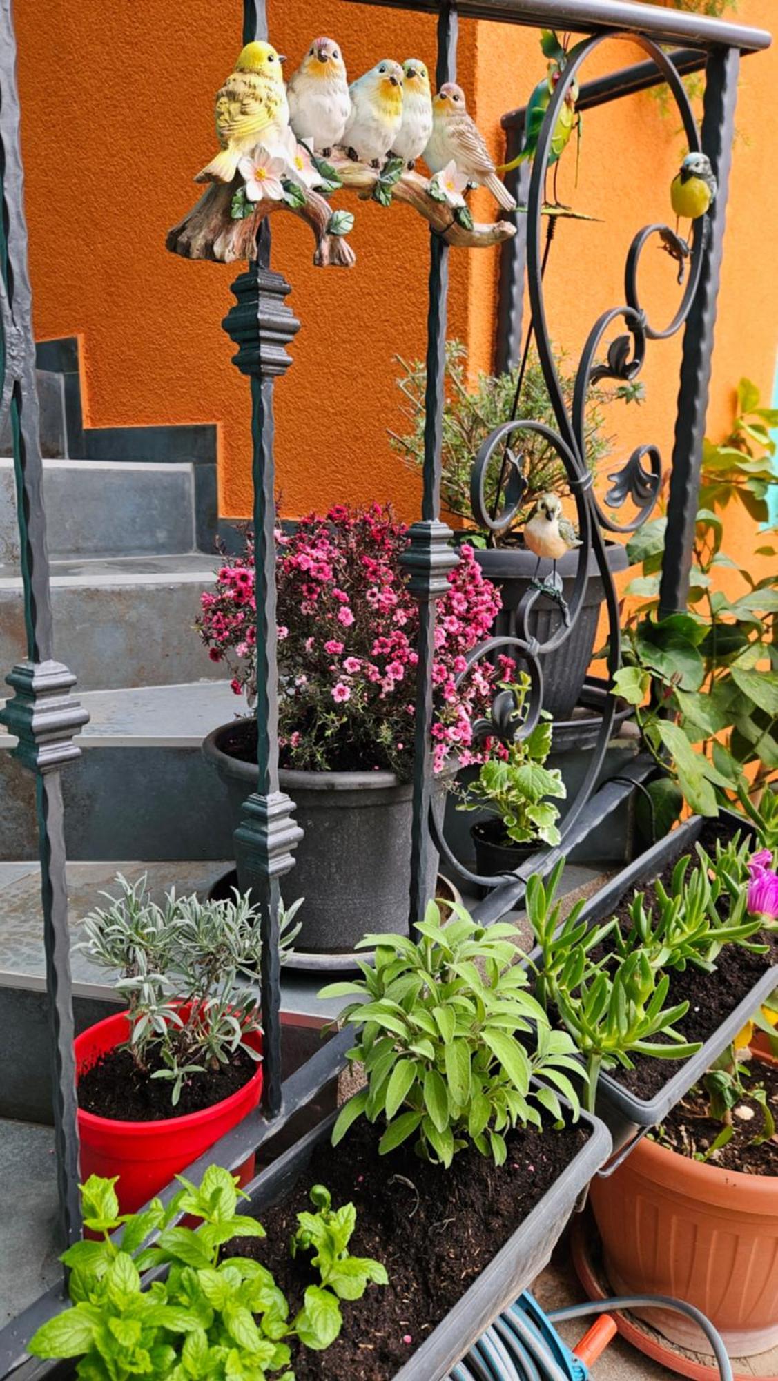 זאדאר Mexicana Apartment Yellow מראה חיצוני תמונה