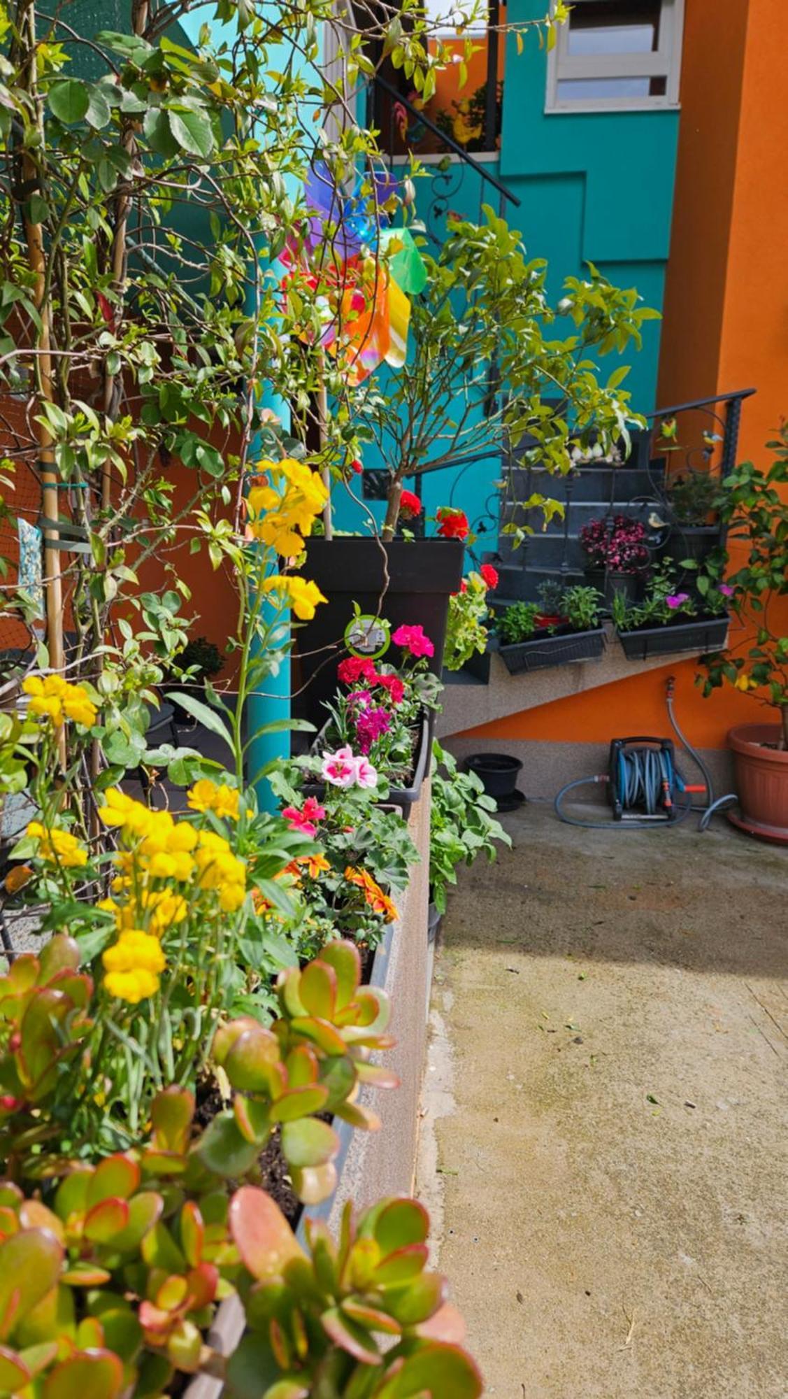 זאדאר Mexicana Apartment Yellow מראה חיצוני תמונה