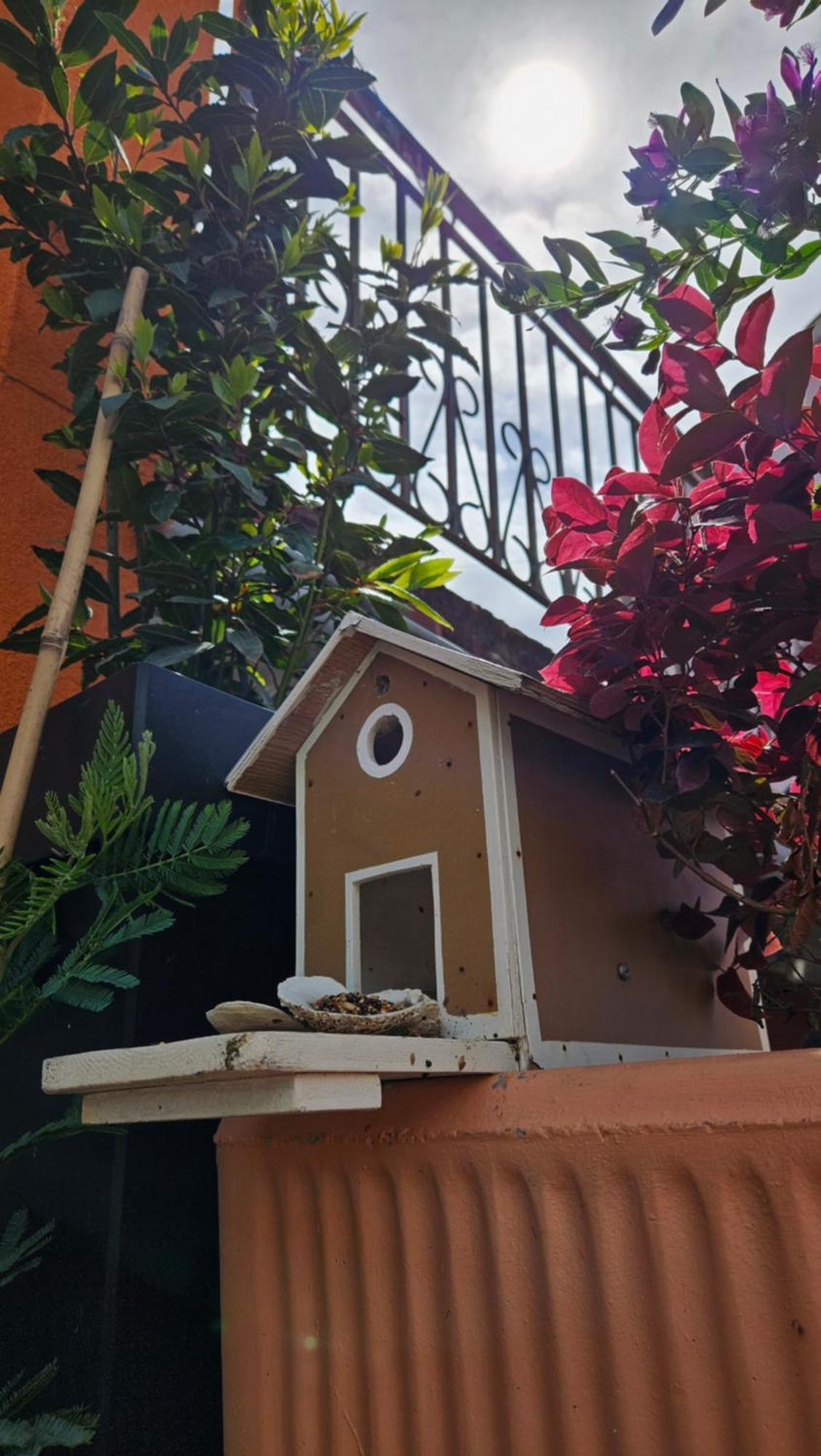 זאדאר Mexicana Apartment Yellow מראה חיצוני תמונה